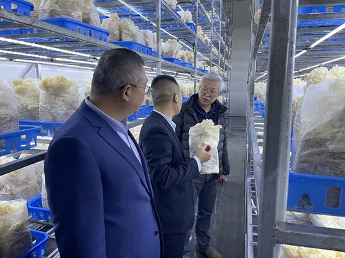 趙衛深入商洛開展企業管理咨詢調研，助力區域經濟發展